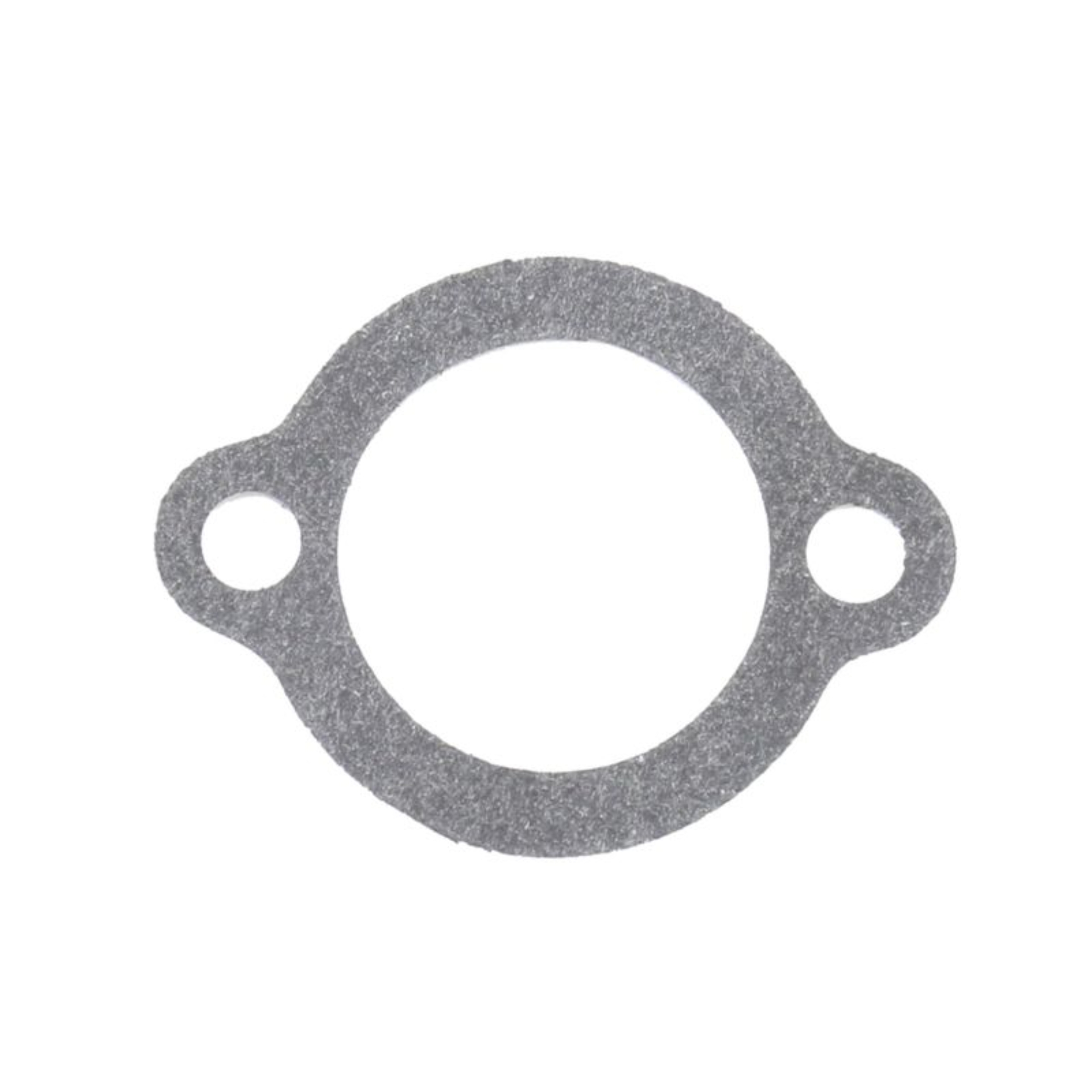 Picture of Athena ATH Misc Gaskets Gasket Kits - S410195017004