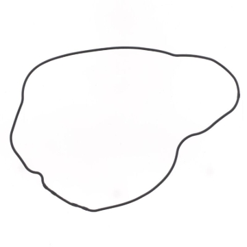 Picture of Athena ATH Side Gaskets Gasket Kits - S410210017063