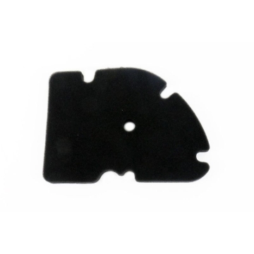 Picture of Athena 06-10 Gilera Gilera Quad 250 Air Filter