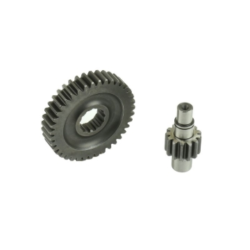 Picture of Athena Secondary Gear Z 13/39