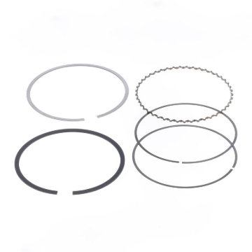 Picture of Athena 95.5mm Bore Piston Ring Set (For Athena Piston)