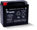 Picture of Yuasa YTX20 Maintenance Free AGM 12-Volt Battery