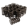 Picture of SET, SINGLE SPRING W/ DAMPER, 1.440 OD, 1.750 IH, .600 LIFT, 350 LBS/IN, FT/HR