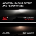 Picture of Diode Dynamics DIO SL2 LED Bulbs - DD0463P