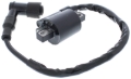 Picture of Arrowhead 2000 Polaris Magnum 325 2x4 Ignition Coil