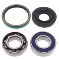 Picture of All Balls Racing 1999 Ski-Doo Formula S Drive Shaft Bearing & Seal Kit Lower Shaft - Track
