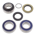 Picture of All Balls Racing 05-06 Ski-Doo Mach Z 1000 Jack Shaft Bearing & Seal Kit Upper Shaft