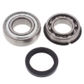 Picture of All Balls Racing 2007 Yamaha Phazer 500 Jack Shaft Bearing & Seal Kit Upper Shaft