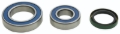 Picture of All Balls Racing 16-17 Ski-Doo Freeride 800R ETEC Jack Shaft Bearing & Seal Kit Upper Shaft
