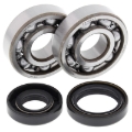 Picture of All Balls Racing 88-05 Kawasaki KX125 Crank Shaft Bearing Kit