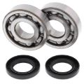 Picture of All Balls Racing 83-04 Kawasaki KX500 Crank Shaft Bearing Kit
