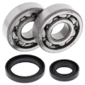 Picture of All Balls Racing 89-01 Suzuki RM80 Crank Shaft Bearing Kit