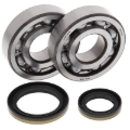Picture of All Balls Racing 96-02 Suzuki RM250 Crank Shaft Bearing Kit