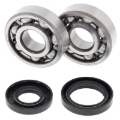 Picture of All Balls Racing 01-04 Yamaha YZ125 Crank Shaft Bearing Kit