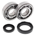 Picture of All Balls Racing 91-97 Yamaha WR250 Crank Shaft Bearing Kit