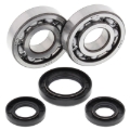 Picture of All Balls Racing 98-00 Yamaha YZ250 Crank Shaft Bearing Kit