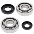 Picture of All Balls Racing 01-23 Yamaha YZ250 Crank Shaft Bearing Kit