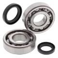 Picture of All Balls Racing 87-90 Suzuki LT-500R Crank Shaft Bearing Kit