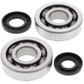 Picture of All Balls Racing 02-07 Kawasaki KX250 Crank Shaft Bearing Kit