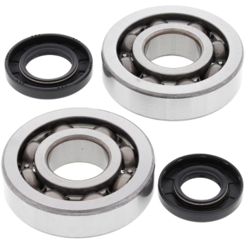 Picture of All Balls Racing 02-07 Kawasaki KX250 Crank Shaft Bearing Kit