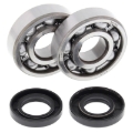 Picture of All Balls Racing 05-23 Yamaha YZ125 Crank Shaft Bearing Kit