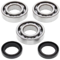Picture of All Balls Racing 1993 Polaris Big Boss 250 6x6 Crank Shaft Bearing Kit