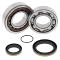 Picture of All Balls Racing 21-23 Gas-Gas EC250 Crank Shaft Bearing Kit