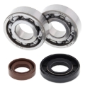 Picture of All Balls Racing 02-03 KTM JR ADV 50 Crank Shaft Bearing Kit