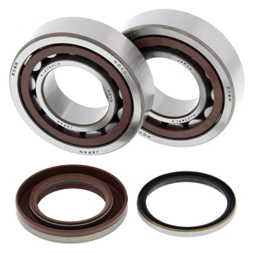 Picture of All Balls Racing 05-12 KTM SX-F 250 Crank Shaft Bearing Kit