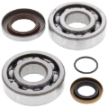 Picture of All Balls Racing 03-04 Gas-Gas EC200 Crank Shaft Bearing Kit