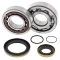 Picture of All Balls Racing 05-07 Gas-Gas EC200 Crank Shaft Bearing Kit