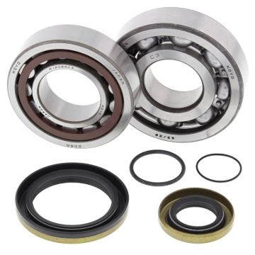 Picture of All Balls Racing 05-07 Gas-Gas EC200 Crank Shaft Bearing Kit