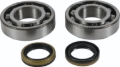 Picture of All Balls Racing 13-23 Beta EVO 2T 125 Crank Shaft Bearing Kit