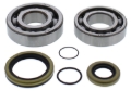 Picture of All Balls Racing 08-11 Gas-Gas EC200 Crank Shaft Bearing Kit
