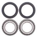 Picture of All Balls Racing 00-07 Can-Am DS650 Wheel Bearing Kit Rear