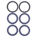 Picture of All Balls Racing 10-13 Can-Am DS 450 Wheel Bearing Kit Rear