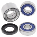 Picture of All Balls Racing 2020 Indian CHALLENGER Wheel Bearing Kit Rear
