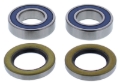 Picture of All Balls Racing 2018 BMW F800R Wheel Bearing Kit Front