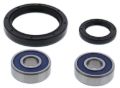 Picture of All Balls Racing 2018 Kawasaki Z250SL Wheel Bearing Kit Front