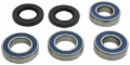 Picture of All Balls Racing 20-21 Husqvarna FR 450 Rally Wheel Bearing Kit Rear