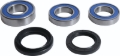 Picture of All Balls Racing 19-21 BMW F750GS Wheel Bearing Kit Rear