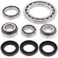 Picture of All Balls Racing 01-02 Arctic Cat 250 4x4 Differential Bearing & Seal Kit Front