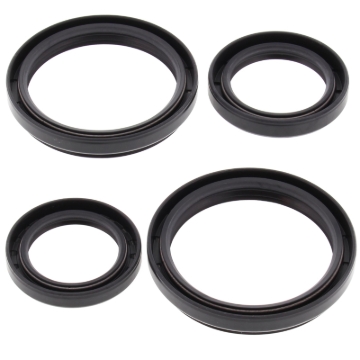 Picture of All Balls Racing 04-05 Arctic Cat 250 4x4 Differential Seal Only Kit Front