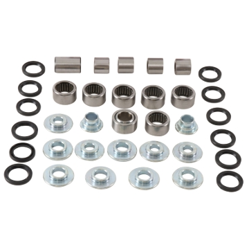 Picture of All Balls Racing 09-23 Beta EVO 2T 125 Linkage Bearing Kit