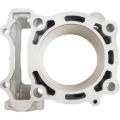 Picture of Cylinder Works CYL Big Bore Cylinder Kit - 21010-1