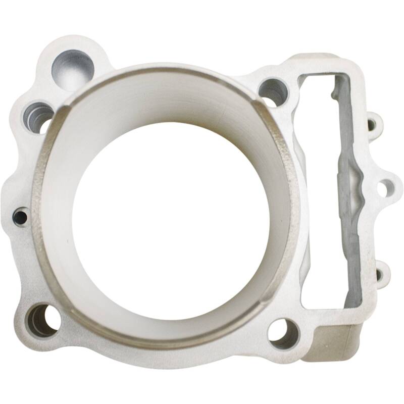 Picture of Cylinder Works CYL Big Bore Cylinder Kit - CW31016-1