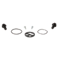 Picture of All Balls Racing 2005 Kawasaki KVF650 Brute Force Fuel Tap Repair Kit