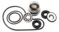 Picture of Hot Rods 00-04 Suzuki DR-Z 400 400cc Water Pump Kit