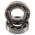 Picture of Hot Rods 00-06 Honda TRX 350 FE 350cc Main Bearing & Seal Kit