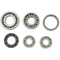 Picture of Hot Rods 01-08 Honda TRX 250 EX 250cc Transmission Bearing Kit